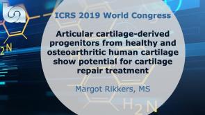 Articular cartilage-derived progenitors from healthy and osteoarthritic human cartilage show potential for cartilage repair treatment