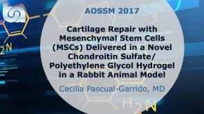 Cartilage Repair with Mesenchymal Stem Cells (MSCs) Delivered in a Novel Chondroitin Sulfate/Polyethylene Glycol Hydrogel in a Rabbit Animal Model