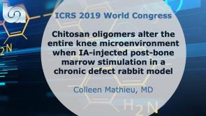 Chitosan oligomers alter the entire knee microenvironment when IA-injected post-bone marrow stimulation in a chronic defect rabbit model