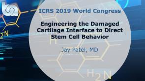 Engineering the Damaged Cartilage Interface to Direct Stem Cell Behavior