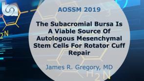 The Subacromial Bursa is a Viable Source of Autologous Mesenchymal Stem Cells for Rotator Cuff Repair